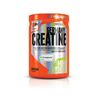 ExtriFit Creatine Germany  300 gr