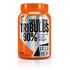 ExtriFit Tribulus 90, 100 kapsula